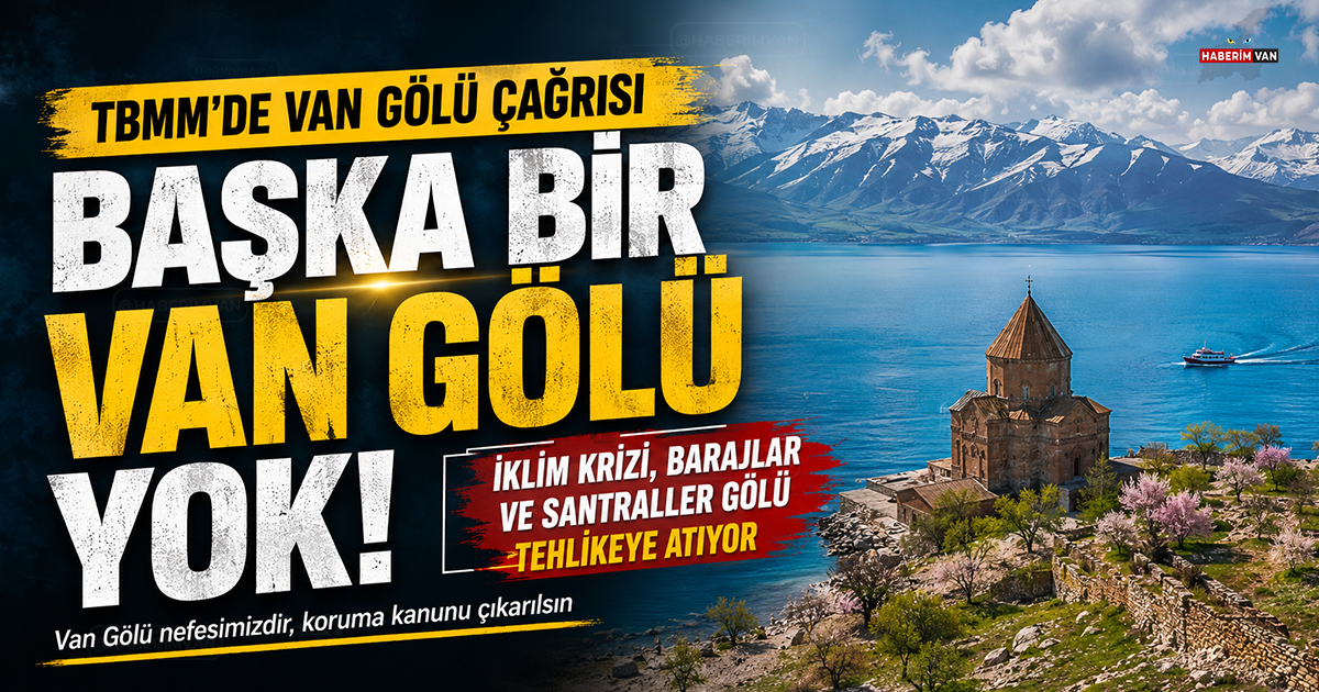Van Gölü için TBMM'de çağrı: "Başka bir Van Gölü yok"